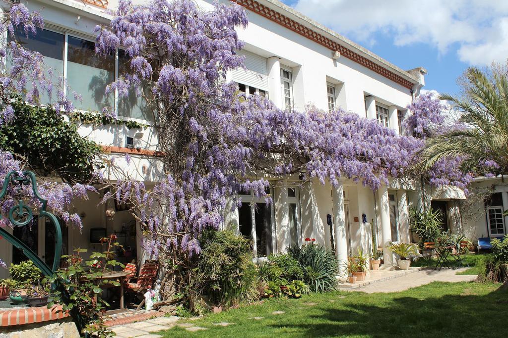 Domaine Saint Nicolas Bed and Breakfast Περπινιάν Εξωτερικό φωτογραφία