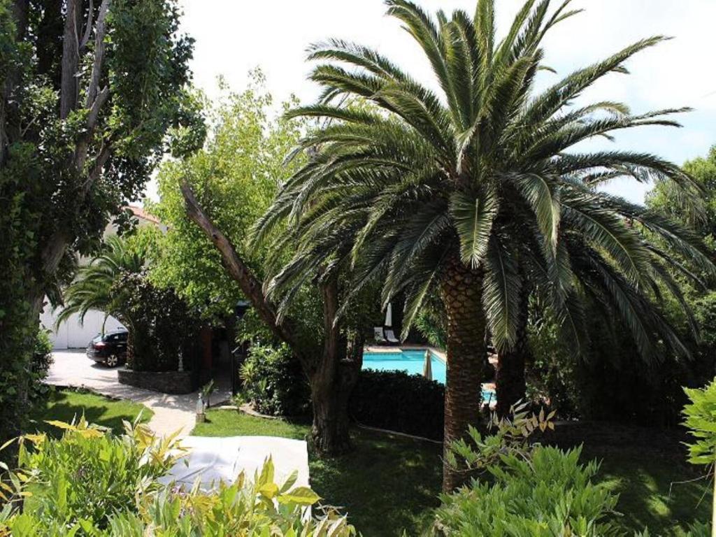 Domaine Saint Nicolas Bed and Breakfast Περπινιάν Εξωτερικό φωτογραφία